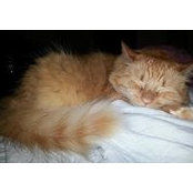 Nubia Stierlen's photo