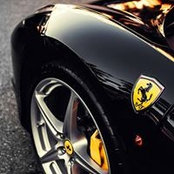David Curiel's photo