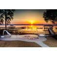 Backyard Living Services, Inc.'s profile photo