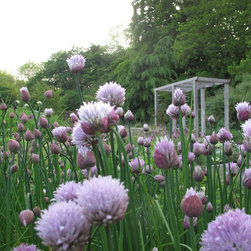 Planting - Garden Products
