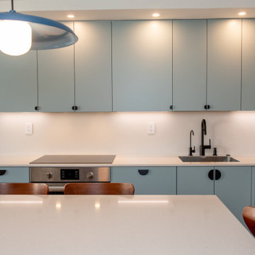 Contemporary Kitchen Remodel