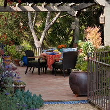 Lake Back Yard
