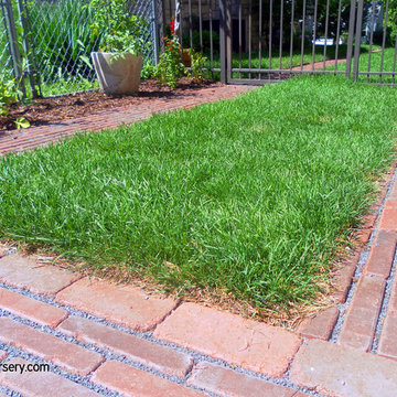 Private Residence, Permeable Driveway