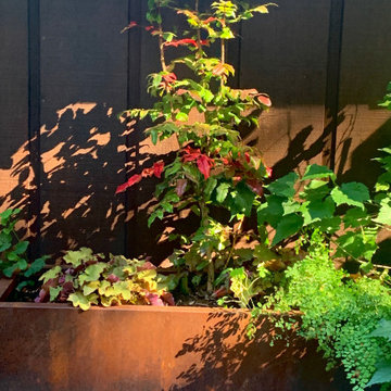Container Heaven