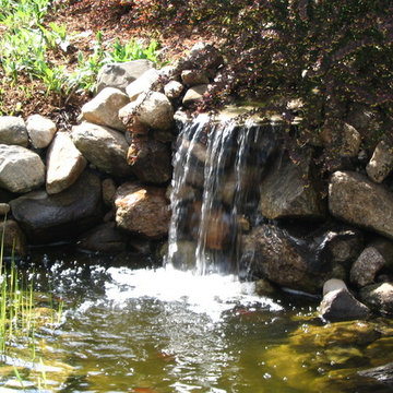 TJB-INC Display Gardens & Ponds - 12 Crestway Hamden