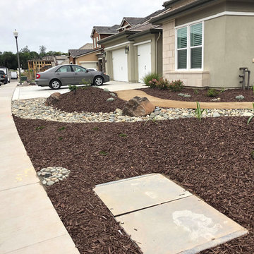 Our Work