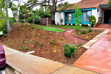 Design ideas for a traditional landscaping in San Diego.
