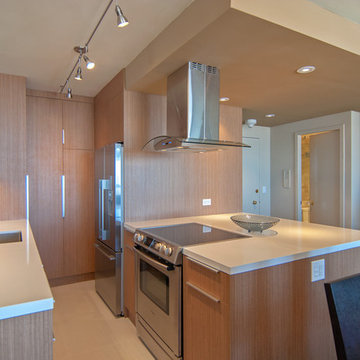 Pacific Heights Penthouse-Sacramento Street