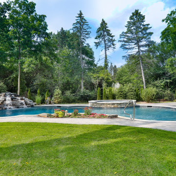 Naperville, IL Freeform Swimming Pool with Raised Hot Tub