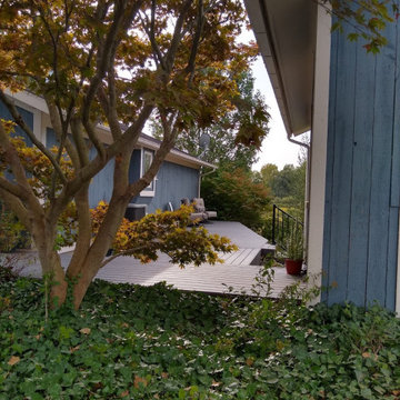Deck Renovation