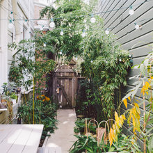 Sideyard