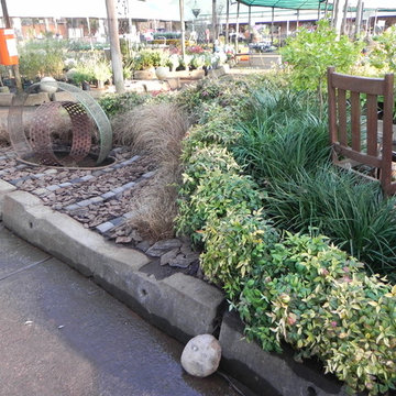 show garden - plantland cornwall hill 2015