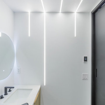 Modern Minimalist Urban Condo