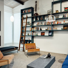 Living room library