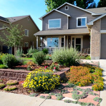 front yard