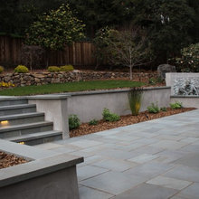 Jessie's back yard