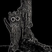 Caleb Yates's photo