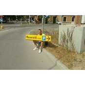 Alexander Sidorenko's photo