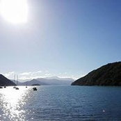 Varsha Karan's photo