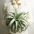 Sea & Asters's profile photo