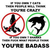 Brian Campbell's photo