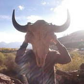 Dean O'Donovan's photo