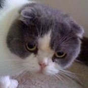 Lizz Wodrich's photo