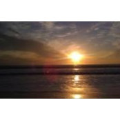 Judy Gonzalez's photo