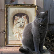 Cate Quigley's photo