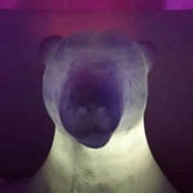 Jonathan Nelson's photo