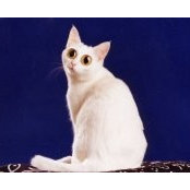 Cathi Durrellさんの写真