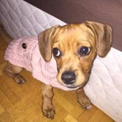 Shannon Leonard's photo