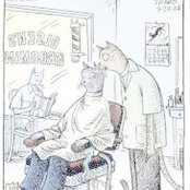 Foto von Jori Miller