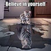 Jean-Pierre Tardif's photo