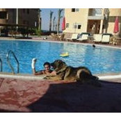 Hesham Hamza's photo