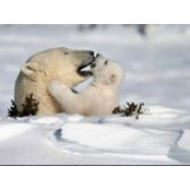 Mary Alexander's photo