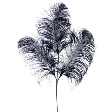 Feather Spray, Black, Pack of 24
