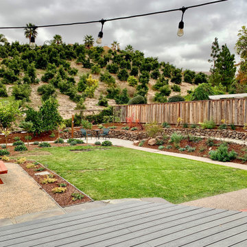 Fremont Landscape Transformation