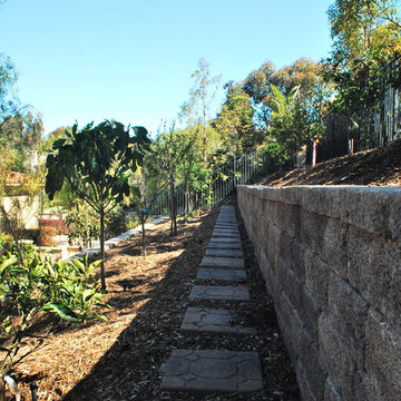 Back Yard Terrace