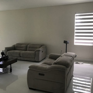 Zebra Illusion Shades - Wilton Manors, Florida