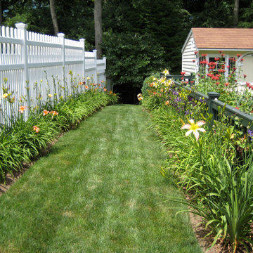 Daylily border