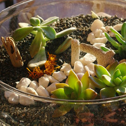 Micro-Gardens - Products