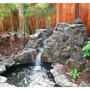 From Overgrown to Garden Zen
