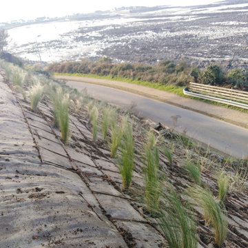 En bord de mer