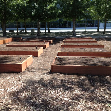 ebay, inc. Corporate Vegetable Garden Installation & Employee Garden Education