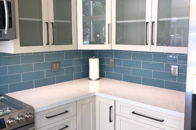 Kitchen - contemporary kitchen idea in Los Angeles