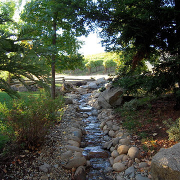 Skinner Winery El Dorado County California