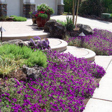 front yard