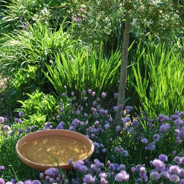 Birdbath