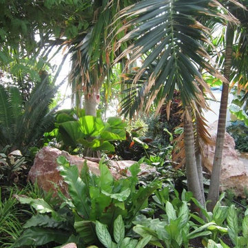 Amiri Diwan Royal Botanical Garden Kuwait